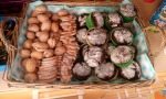 Bal Jesieni
